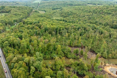 0 N Preston Hwy unit 10156603, Bruceton Mills, WV 26525 - photo 3