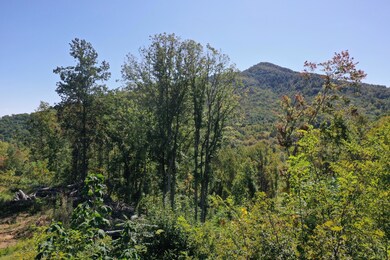 DJI_0350