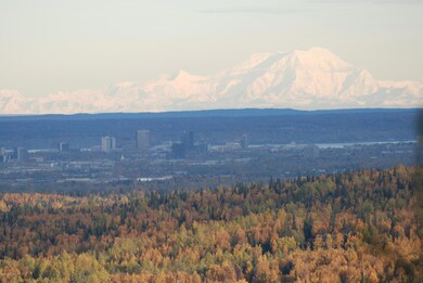 Denali and Downtown Anchorage Views