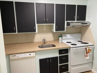 53 Fountain Ln unit 1, South Weymouth, MA 02190 - photo 6