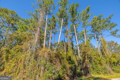 133 Helmich Dr, Brunswick, GA 31525 - photo 7