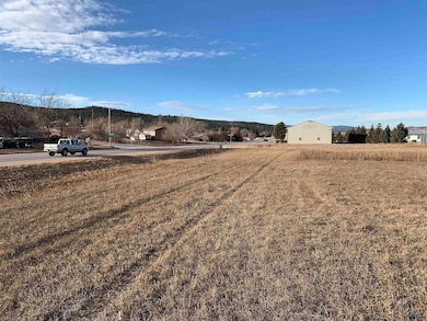 TBD Sturgis Rd unit 2.78 AC L4, Black Hawk, SD 57718 - photo 2