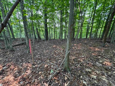 Lot #2 E Bellinger Rd, Cedar, MI 49621 - photo 7