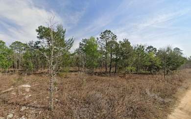 Fort Mc Coy unit FL 32134, Fort McCoy, FL 32134 - photo 3
