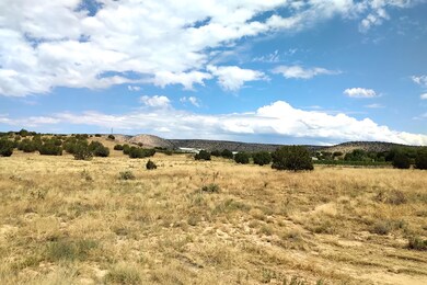 890 W Gina Marie Blvd, Paulden, AZ 86334 - photo 3