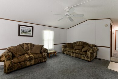 66 Cloe Ln, Reeds Spring, MO 65737 - photo 3