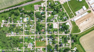 601 S Main St, Pleasant Hill, IL 62366 - photo 2