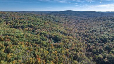 14161 Low Gap Rd, West Fork, AR 72774 - photo 5