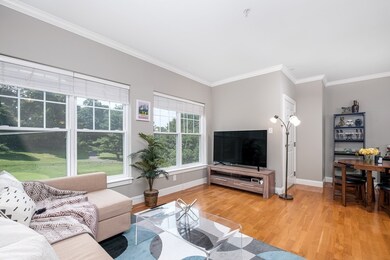 35 Commonwealth Ave unit 202, Chestnut Hill, MA 02467 - photo 4