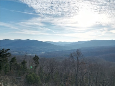 3103 Nc 8401, Jasper, AR 72641 - photo 6