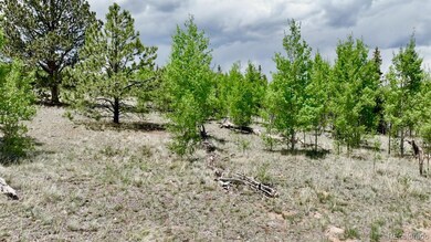 Mix of aspen and pines