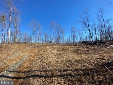 LOT 2 Scotts Mill Rd, Raccoon Ford, VA 22701 - photo 6