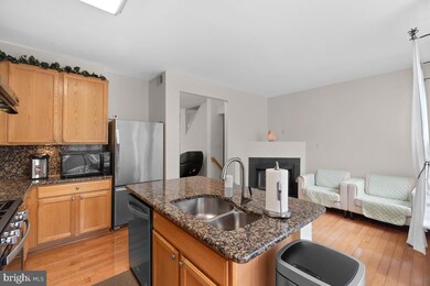 21368 Shady Wood Terrace, Broadlands, VA 20148 - photo 6