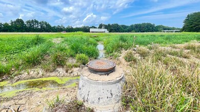 IMG_0266