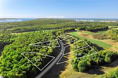 0025 Heather Ridge Trail, Beulah, MI 49617 - photo 3