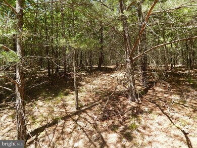 LOT 10 Farside Ln, Berkeley Springs, WV 25411 - photo 3
