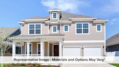 Alder with Elevation Q