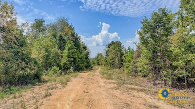 0 Hurricane Creek Rd, Stewart, TN 37175 - photo 4