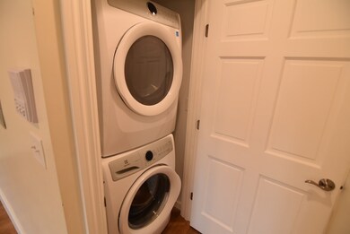 231 Northampton St unit 3, Boston, MA 02118 - photo 6