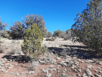 31322 W Sunset Dr, Seligman, AZ 86337 - photo 7