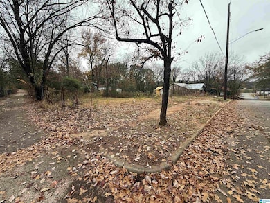 6515 3rd Ave S, Birmingham, AL 35212 - photo 2