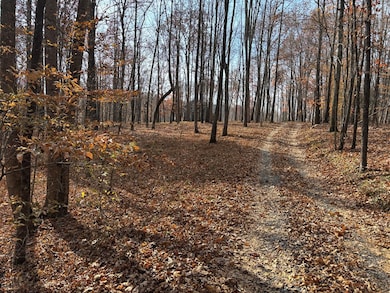 230 Market Ln, Gainesboro, TN 38562 - photo 6