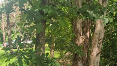 IMG_20250608_115813 (4)