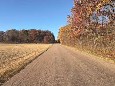 40 acre Tryba Rd, Reid, WI 54440 - photo 6