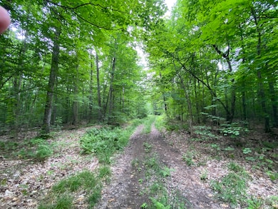 roads
