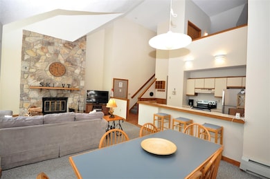 E33 Northbrook Village Rd unit E33, Dover, VT 05356 - photo 6