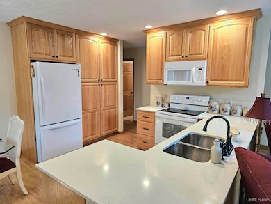 9157 Co Rd 513 Rd, Rapid River, MI 49878 - photo 3