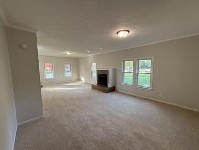 206 W Seminole St, Dwight, IL 60420 - photo 5