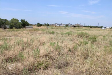 101 Kathy Stephens Ave, Springtown, TX 76082 - photo 7