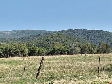 20122 2375 Rd, Cedaredge, CO 81413 - photo 6