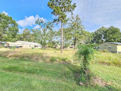 50 Hidden Oaks Dr, Point Blank, TX 77364 - photo 2