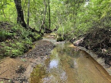 20685 E Highway M, Stockton, MO 65785 - photo 4