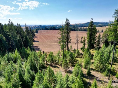 TBD Parcel 1 Peaceful Valley Rd, Kamiah, ID 83536 - photo 4