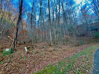 22 Davis Walker Ridge, Mineral Bluff, GA 30559 - photo 7