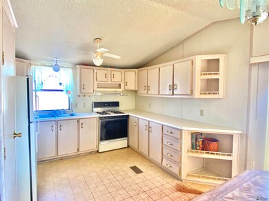 11536 S Bonnie Ave, Yuma, AZ 85367 - photo 7