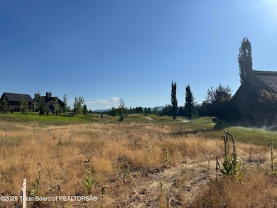 910 Dusty Maiden Ct, Driggs, ID 83422 - photo 2