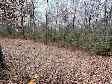 2337 McPherson Springs Rd, Mabelvale, AR 72103 - photo 6