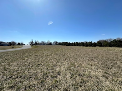 LOT 58 LOOKING BACK