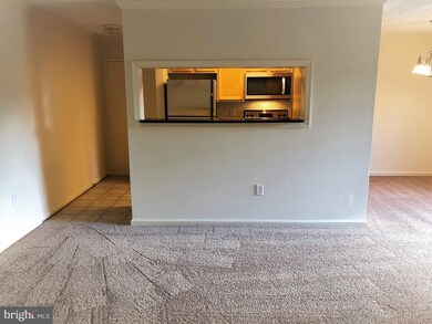 15552 Horseshoe Ln unit 552, Woodbridge, VA 22191 - photo 3
