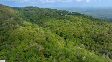 20 Falling Star Way, Landrum, SC 29356 - photo 6