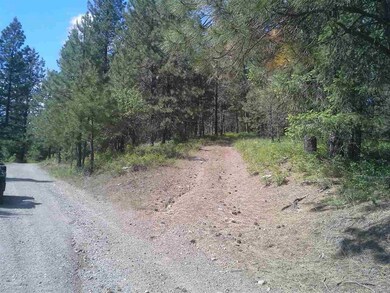 xx Dry Creek Rd, Chewelah, WA 99109 - photo 5