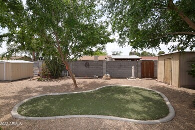 Beautiful Backyard