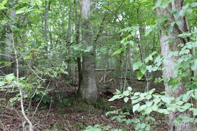 Lot 2 Lunsford Ln, Marshall, NC 28753 - photo 6