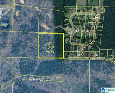 8260 Kermit Jhonson Rd, Pinson, AL 35126 - photo 2