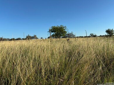 183 Lipan Loop, Harper, TX 78631 - photo 6