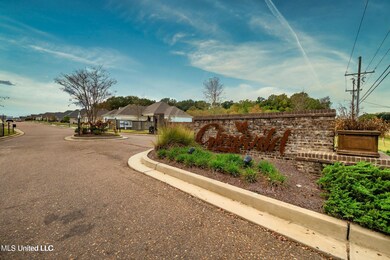 492 Aurora Cir, Canton, MS 39046 - photo 7